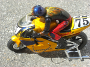 Custom Painted RC Bike